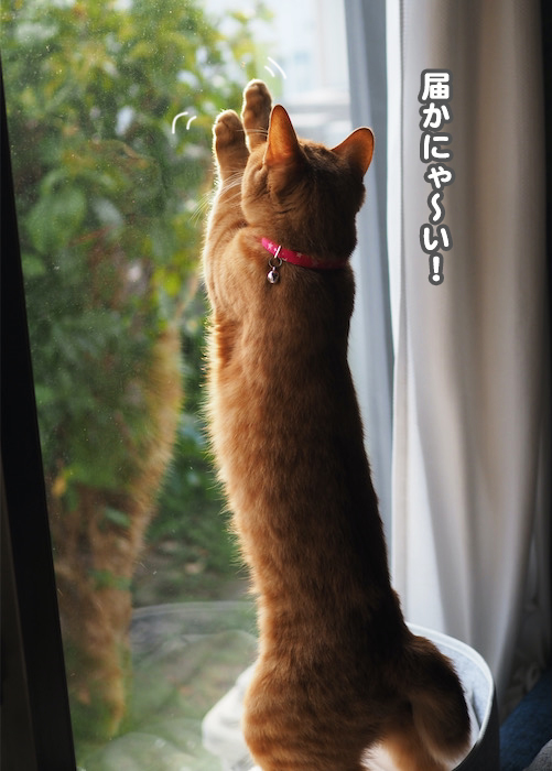 4日夕ブログ８