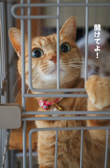 27日ブログ３