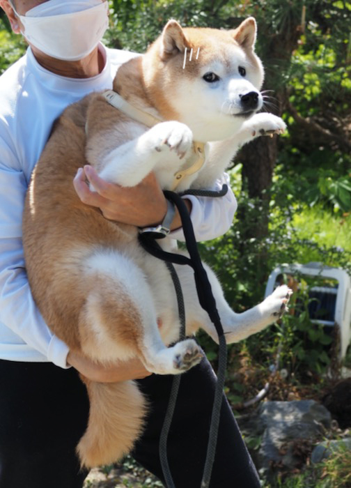 10日ブログ５