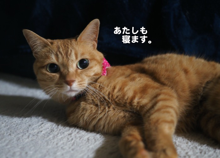 19日ブログ３