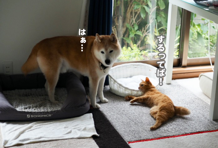 13日ブログ８