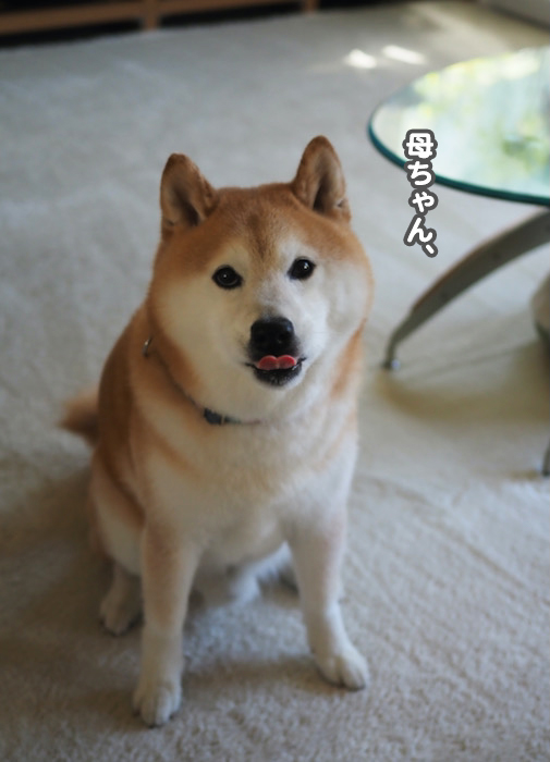 26日ブログ２