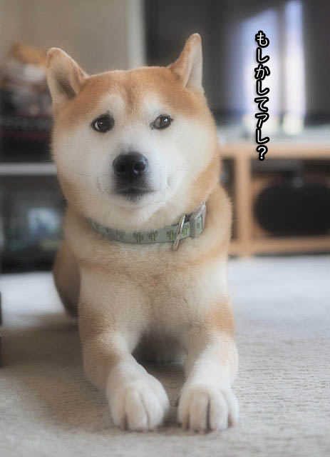 22日ブログ4