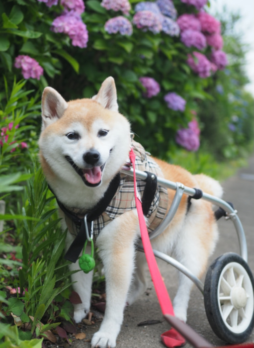 8日夕ブログ９
