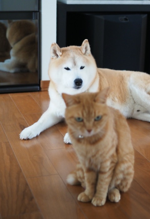 17日ブログ２
