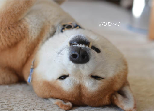 28日ブログ2.jpg
