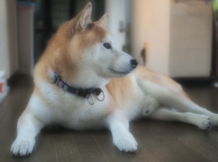 24日ブログ４
