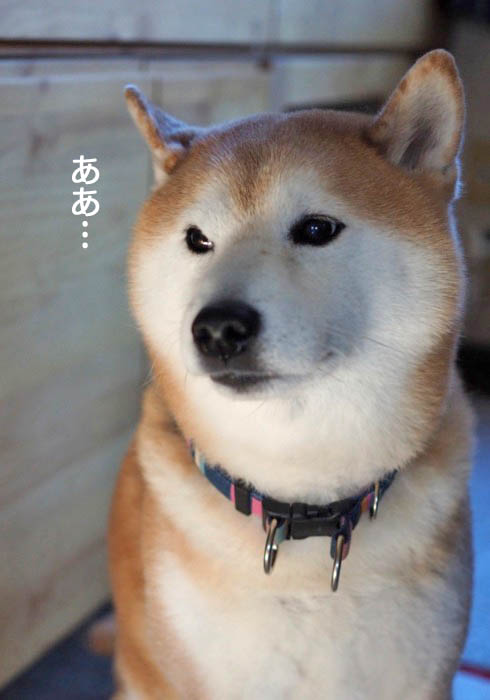 15日夜ブログ４