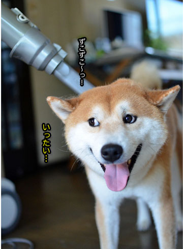 29日ブログ8.jpg