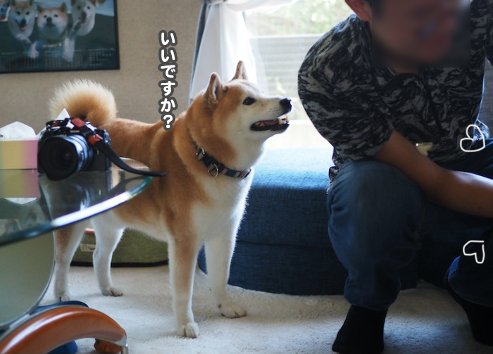 22日ブログ５