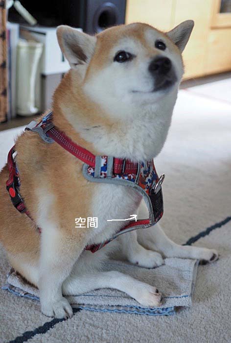13日午後ブログ３