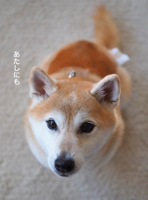 27日午後ブログ４