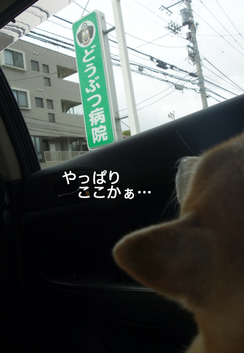19日夕ブログ２