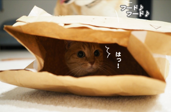 25日夕ブログ４