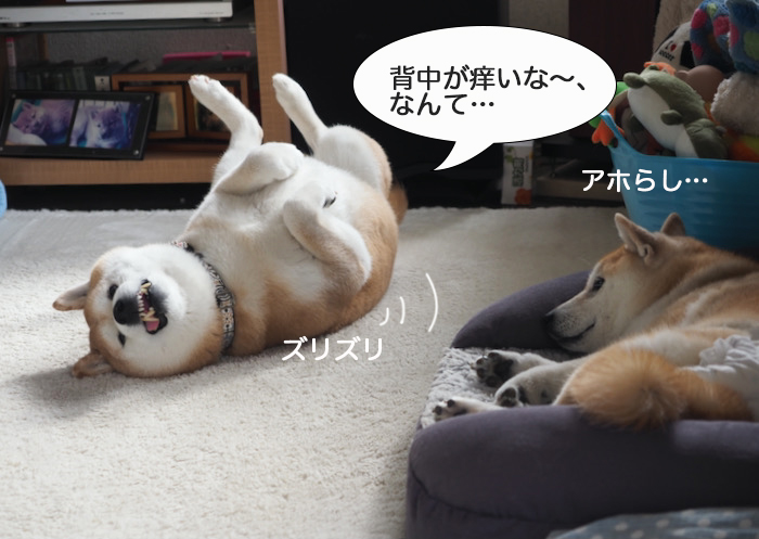 16日ブログ１１
