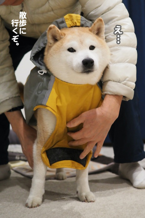 5日夜ブログ２