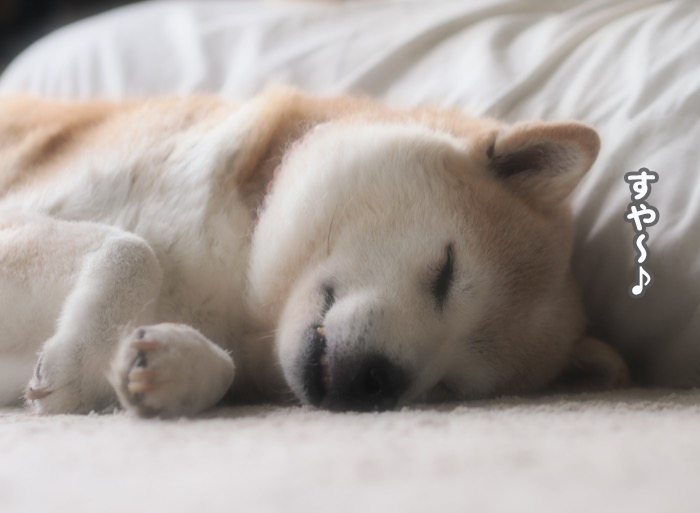 26日午前ブログ２