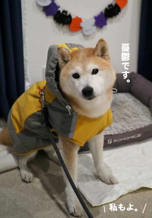 22日夕ブログ２