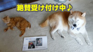 1チャリカレバナー