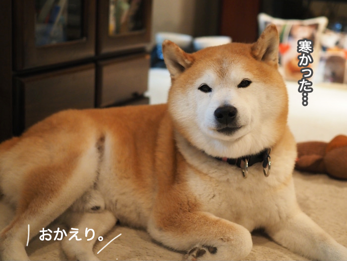 10日夜ブログ６