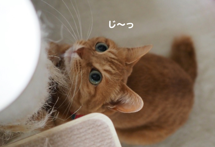 24日午前ブログ１