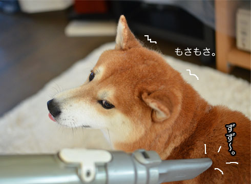 12日ブログ9.jpg