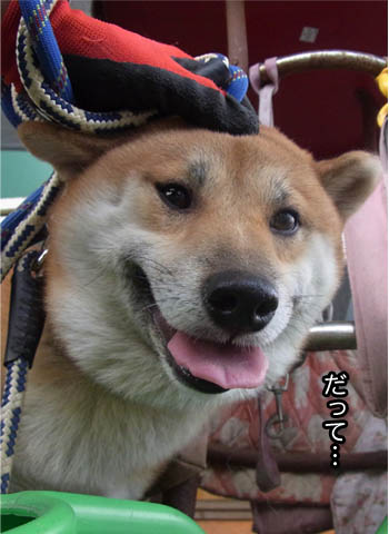 13日ブログ6.jpg