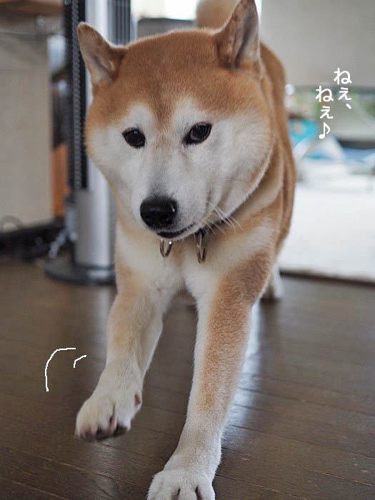 28日ブログ３