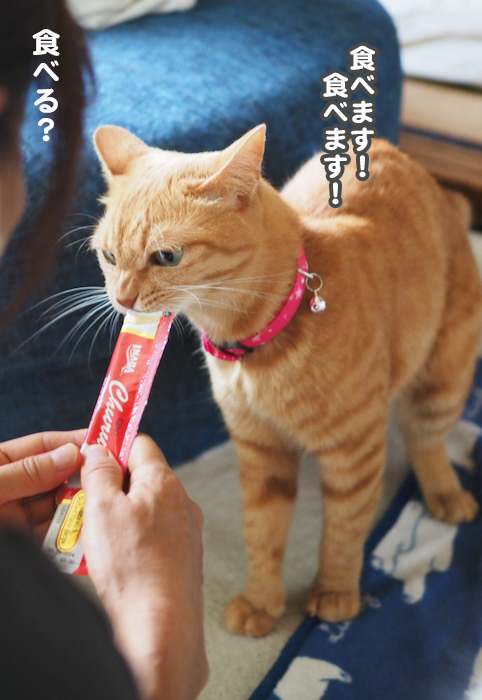 3日夕ブログ２