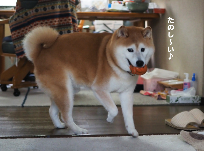 15日ブログ１１