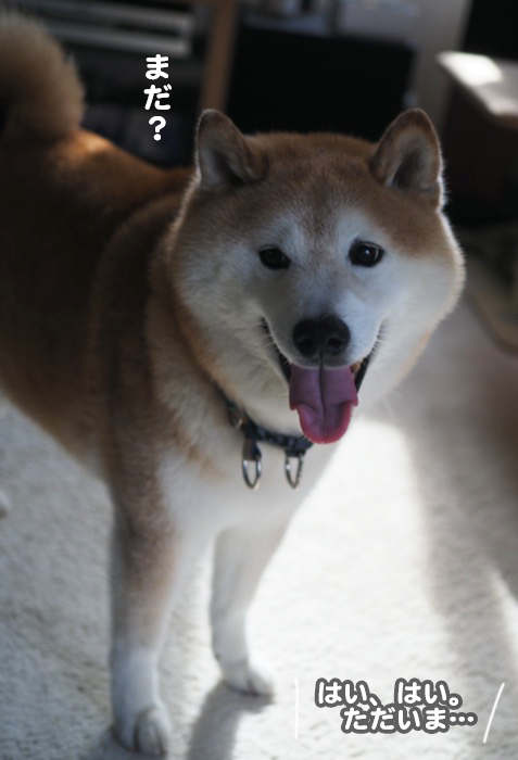9日ブログ５