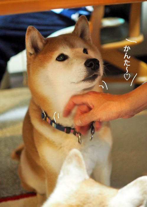 7日夜ブログ５
