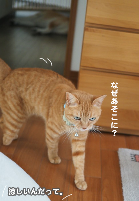 4日夕ブログ９