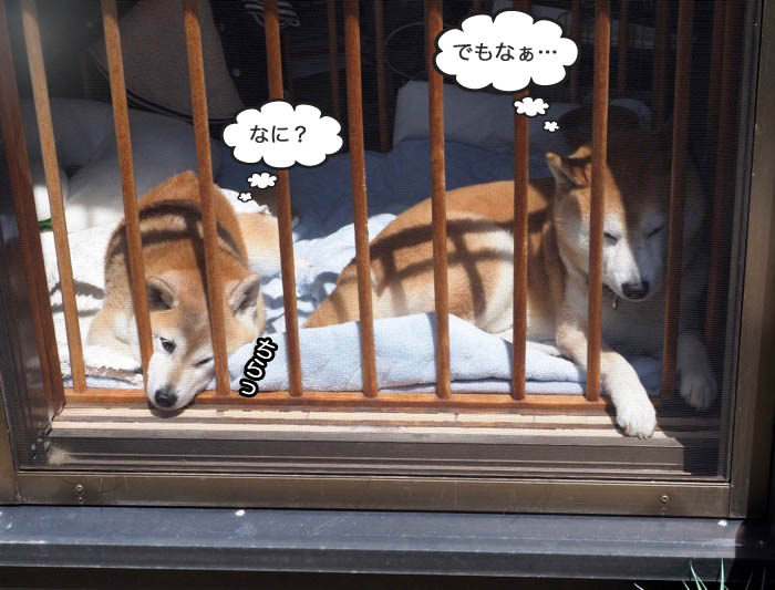 25日夜ブログ５