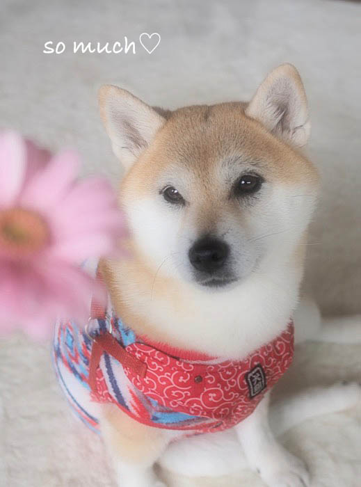 19日先ブログ8