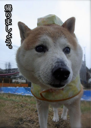 5日ブログ３.jpg