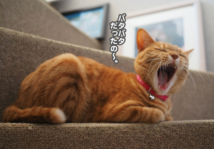 1日昼ブログ３