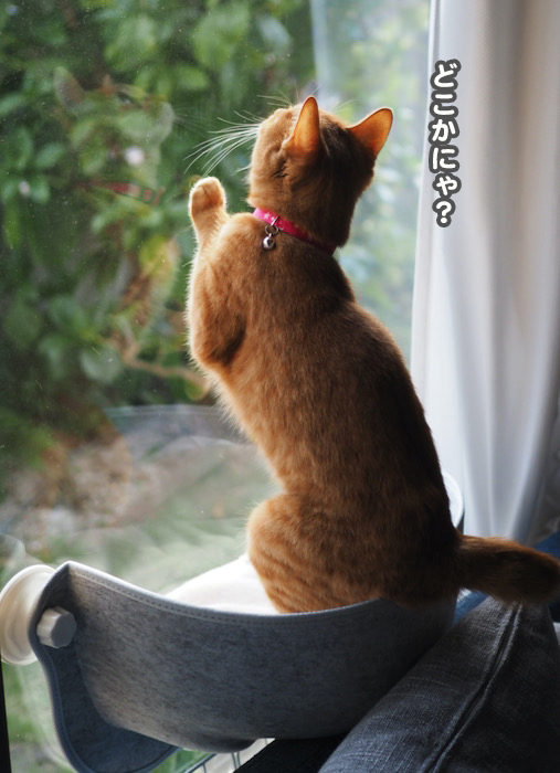 4日夕ブログ７