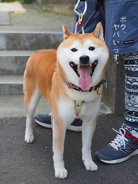 24日ブログ6