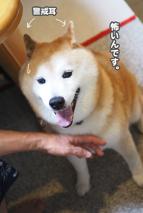 11日ブログ４