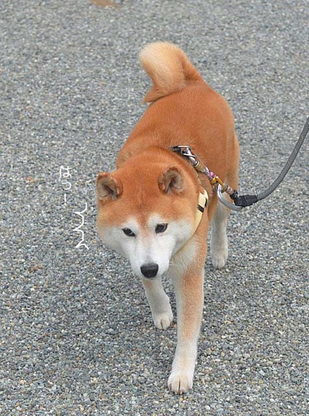 24日ブログ3