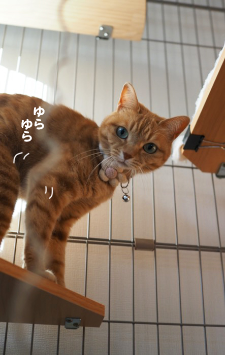 4日夕ブログ３