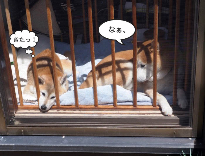 25日夜ブログ４