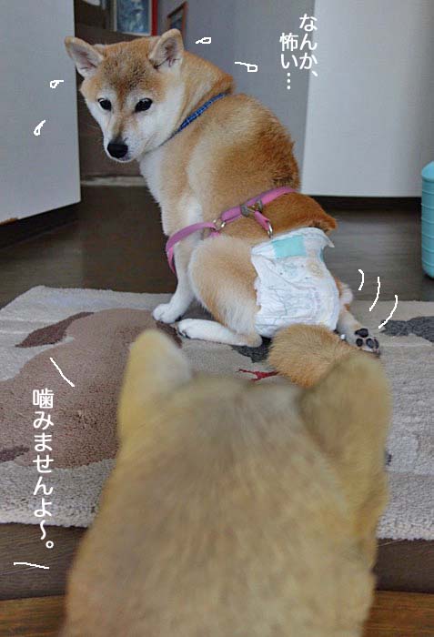 9日昼ブログ５