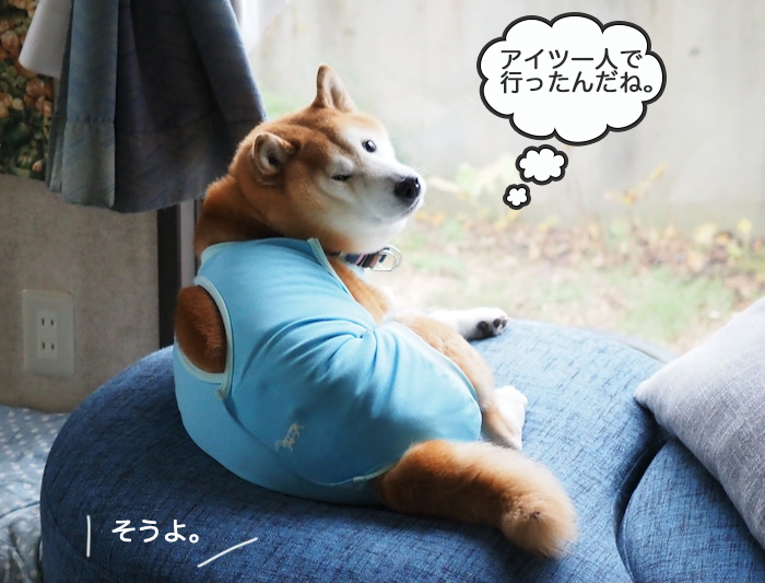 14日ブログ７