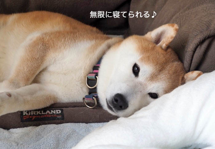 6日ブログ３