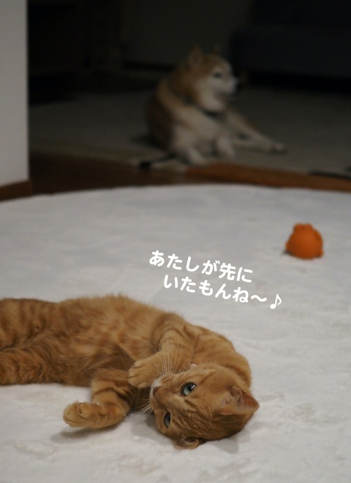 27日夕ブログ4