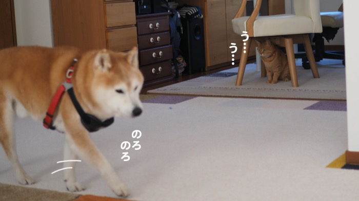 3日ブログ４