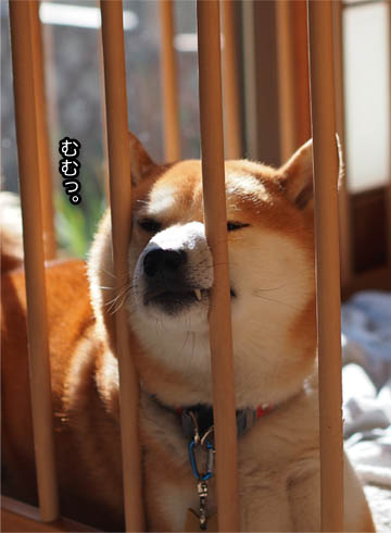 30日ブログ3.jpg