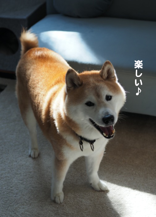 2日夕ブログ１３